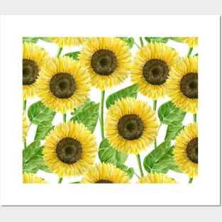 Sunflowers watercolor Posters and Art